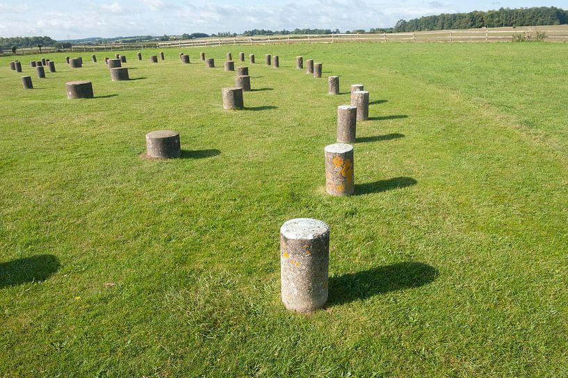 Woodhenge van Richard Wareham