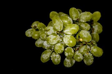 Bright grapes van Ursula Di Chito