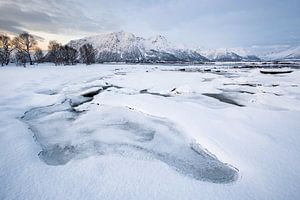 Paysage enneigé sur les Vesterals / Lofoten, Norvège