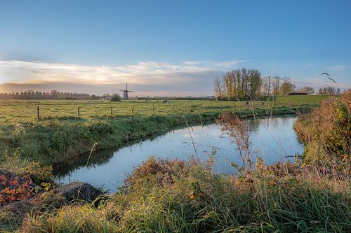 Weids landschap met molen