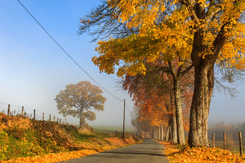 Der Zauber des Herbstes