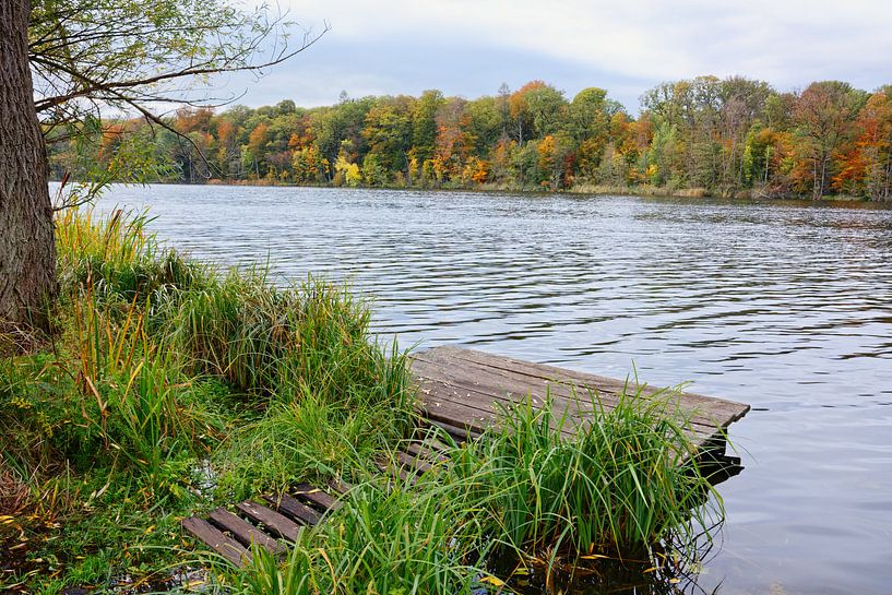 Herbst im Havelland von Gisela Scheffbuch