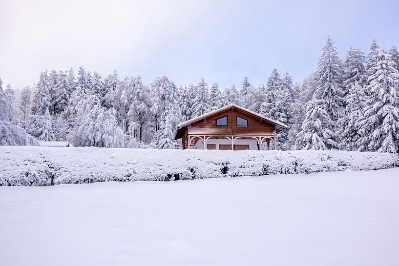 Cross-country skiing in the snowy Thuringian Forest near Floh-Seligenthal - Thuringia - Germany by Oliver Hlavaty