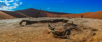 Panorama au bois mort dans la vallée de mort, de la Namibie