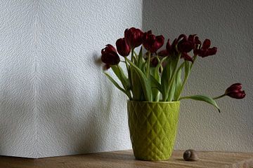 Tiefrote Tulpe im grünen Topf