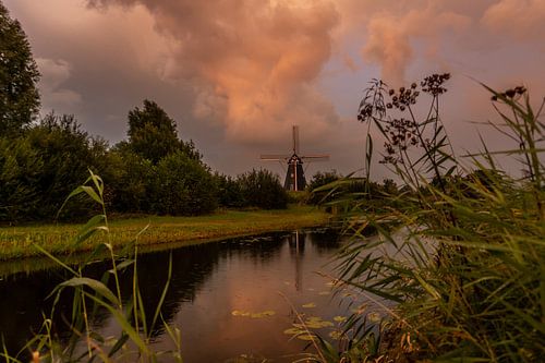 Molen de Zwaan in Vinkel