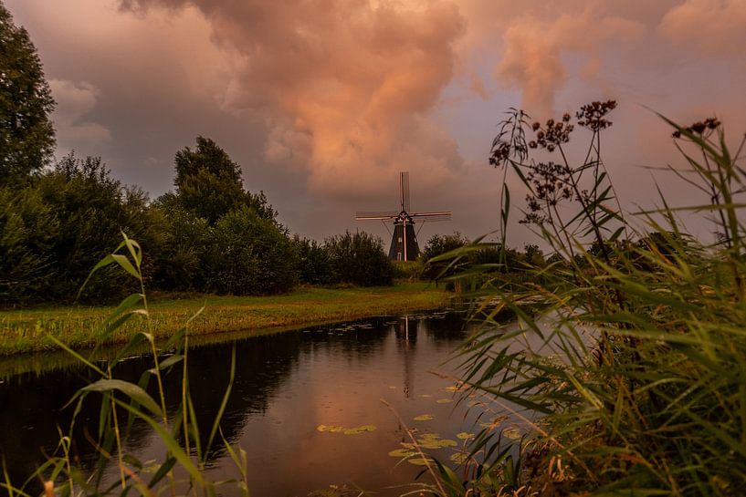 Mühle de Zwaan in Vinkel von Cynthia Verbruggen