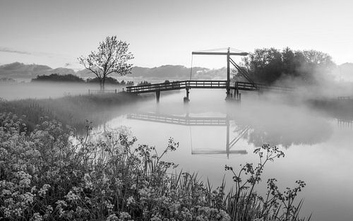 Een ochtend in de mist bij het Schildjer Tilbat in Schildwolde in zwart wit