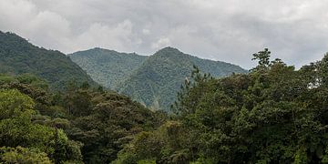 Ecuador: Pailón Diablo (Baños) von Maarten Verhees