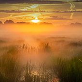 Parc national de Weerribben-Wieden