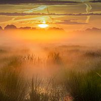 Nationalpark Weerribben Wieden