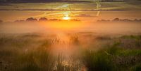 Sunrise above De Weerribben-Wieden National Park on a beautiful misty spring morning