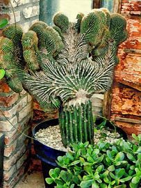 Anlehnen in der Ecke