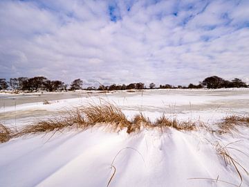 Winter in De Zilk van Dirk van der Plas