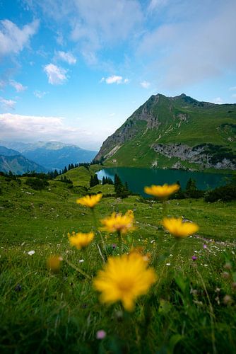 Bloemrijk uitzicht op de Seealpsee in de Allgäuer Alpen