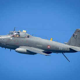 Alizee Französische Marine von Ed Vroom