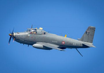 Alizee French Navy by Ed Vroom