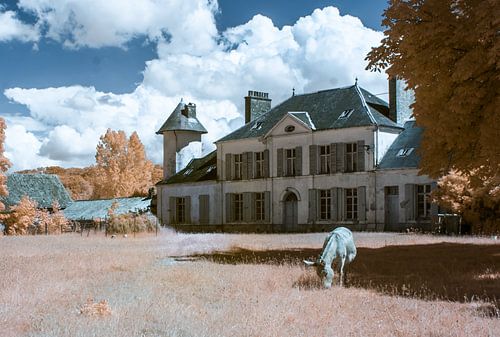 Le château du Moulinel