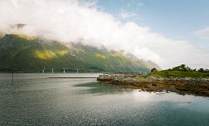 Vues sur les îles Lofoten