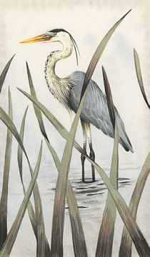 Ode to the heron by Marieke Nelissen