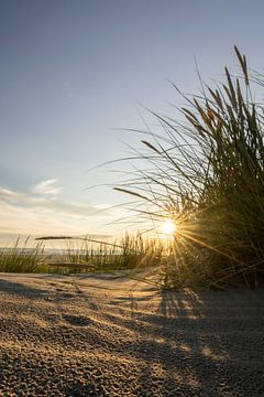 Zonsopkomst in de duinen van bart dirksen