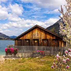 idyllic boathouse on Lake Achensee,Tyrol. idyllic boathouse on Lake Achensee,Tyrol. hangar á bateaux idyllique e sur le lac Achensee,Tyrol by Christina Bauer Photos