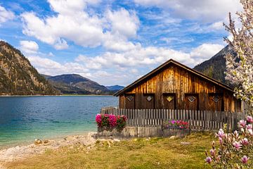 idyllic boathouse on Lake Achensee,Tyrol. idyllic boathouse on Lake Achensee,Tyrol. hangar á bateaux idyllique e sur le lac Achensee,Tyrol by Christina Bauer Photos