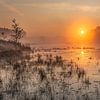 gouden zonsopkomst boven de vijver in de teut te Limburg, Belgie. van Fotografie Krist / Top Foto Vlaanderen