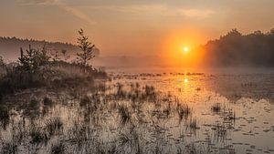 gouden zonsopkomst boven de vijver in de teut te Limburg, Belgie.