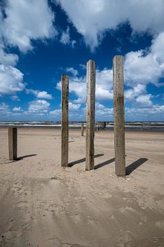 Beach poles at nude beach by Peter Bartelings