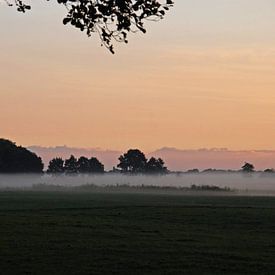 ochtendmist von Marten Wieringa