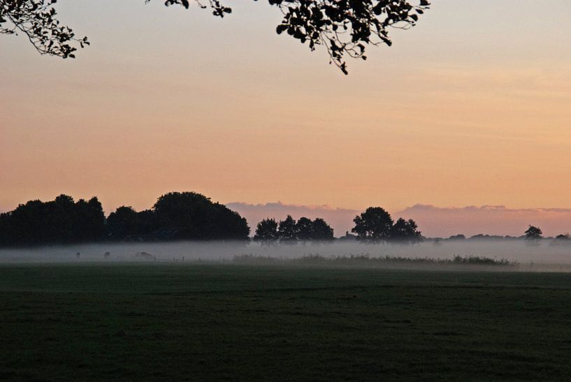 ochtendmist par Marten Wieringa