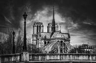 Notre-Dame of Paris in black and white by Chi thumbnail