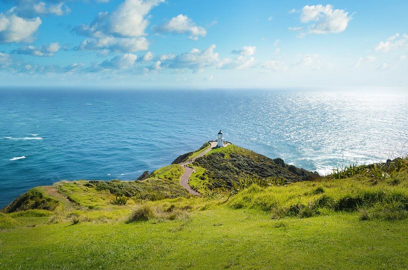 Cape Reinga, New Zealand by Christian Müringer