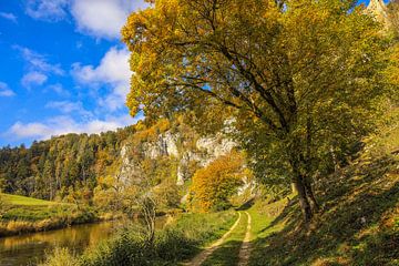 Wanderweg entlang der Donau unterhalb des Stiegelesfelsen bei Fridingen an einem Herbsttag - Naturpark Obere Donau von BlattArt - Christine Horn