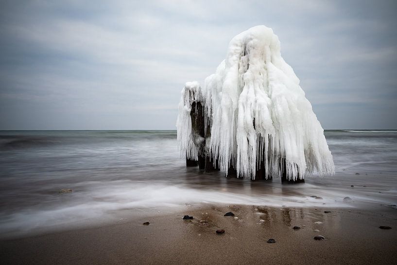 Groynes on shore of the Baltic Sea in winter time by Rico Ködder