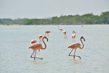 Un élégant chant du cygne sur Joran Quinten