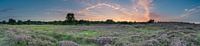 Panoramic view of the Gaste dunes