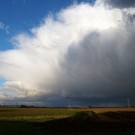 Polder in Hank von Sander Vlug