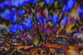 Dance of colours by Photoart-Naegele