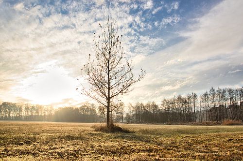 Zonsopkomst