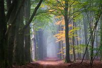 Speuldersbos II