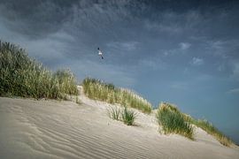 Baltrum III sur Axel Ellerhorst
