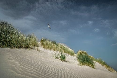Baltrum III