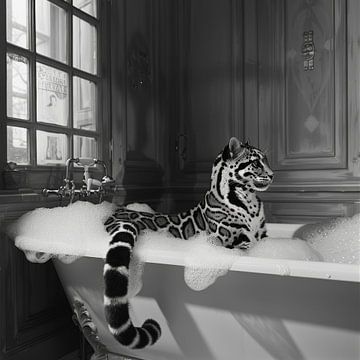 Graceful clouded leopard in the bathtub by Felix Brönnimann