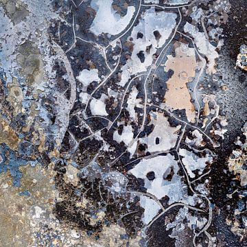 Abstract....wandeling met de honden van Eugene Winthagen