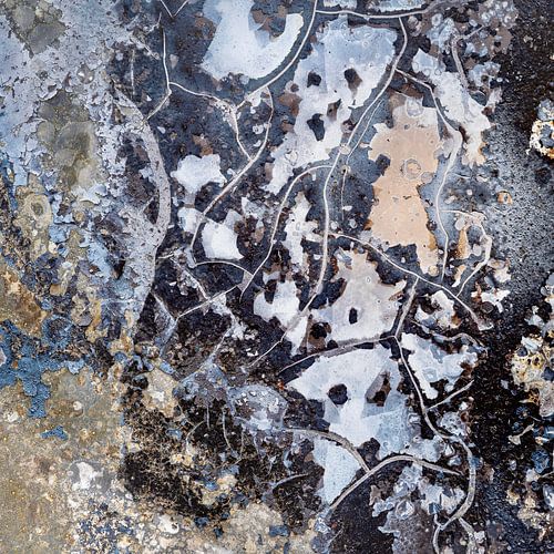 Abstract....wandeling met de honden