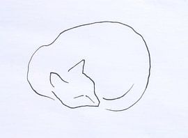 Schlafende Katze Strichzeichnung von Paul Nieuwendijk