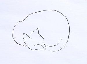 Dessin au trait du chat endormi sur Paul Nieuwendijk