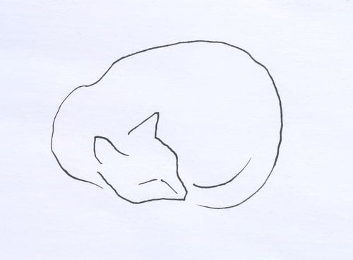 Sleeping cat line drawing
